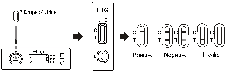 q1
