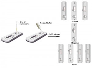 Typhoid Rapid Tests