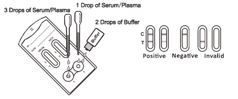 vd